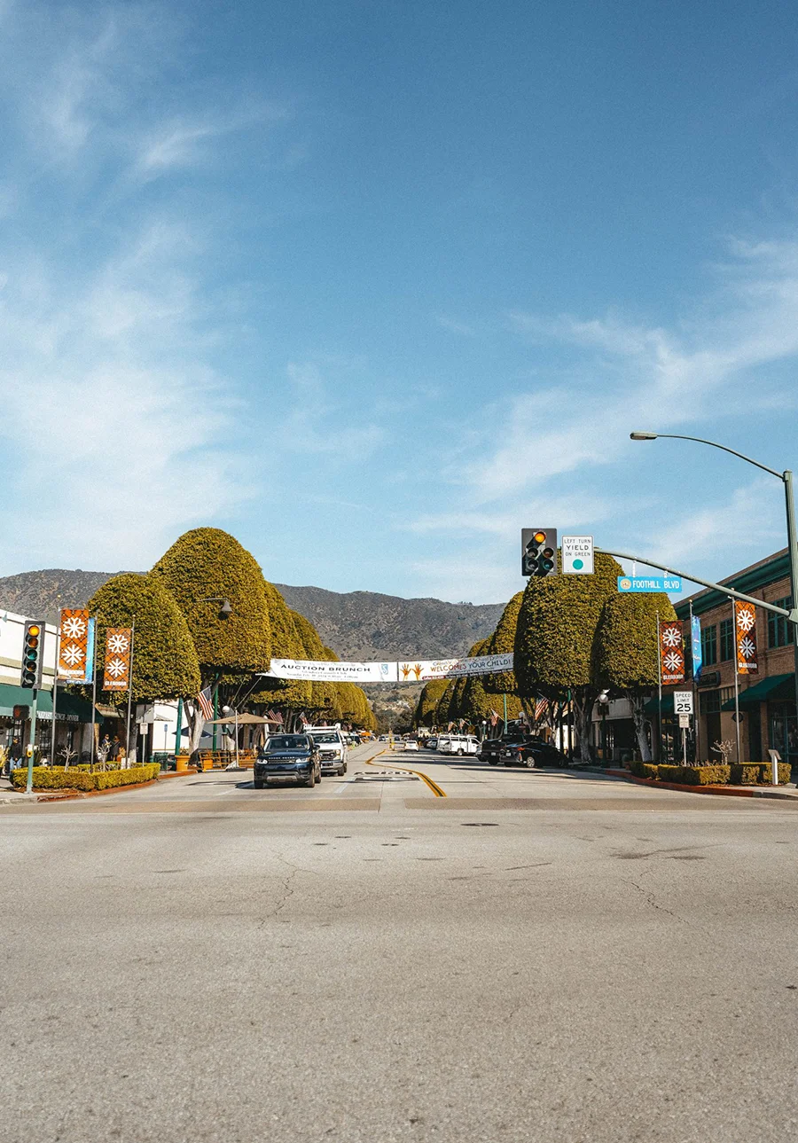 DSC01106-1430x2048-compressed glendora